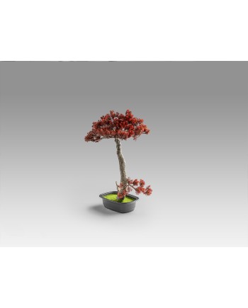 BUJIN-HI - BONSAI 45CM